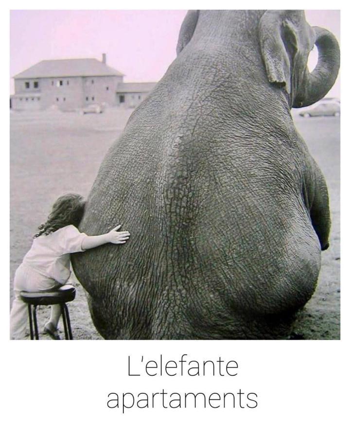 Elefante Appartamenti Pescara Bagian luar foto